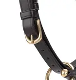 Velocity Gara Velociti GARA lederen (reis) halster