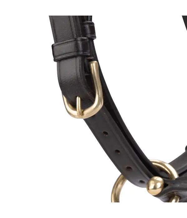 Velocity Gara Velociti GARA lederen (reis) halster