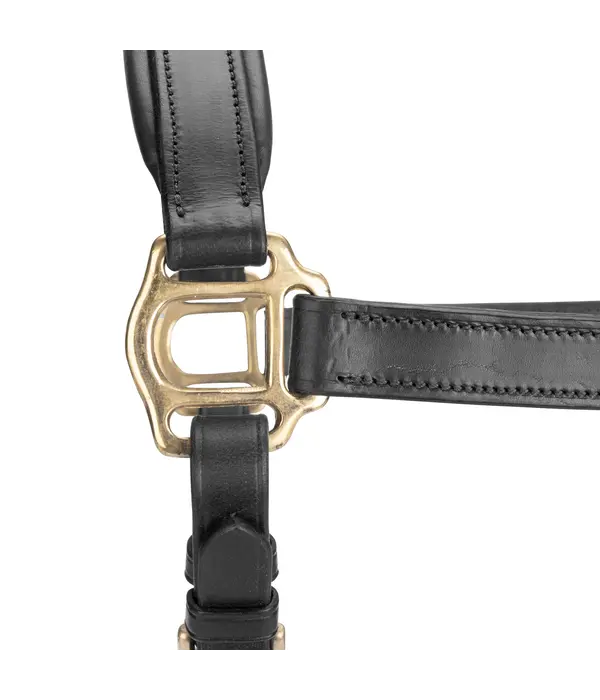 Velocity Gara Velociti GARA lederen (reis) halster