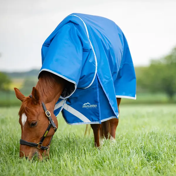 Shires Highlander Original 200 gram regendeken met hals