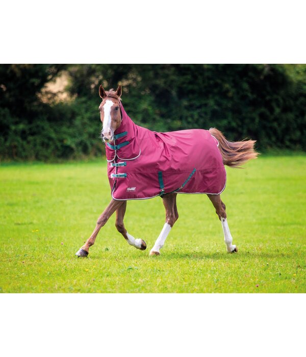 Shires Shires Tempest Original 200g Combo Turnout Rug