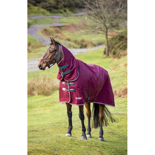Shires Tempest Original 200g Combo Turnout Rug