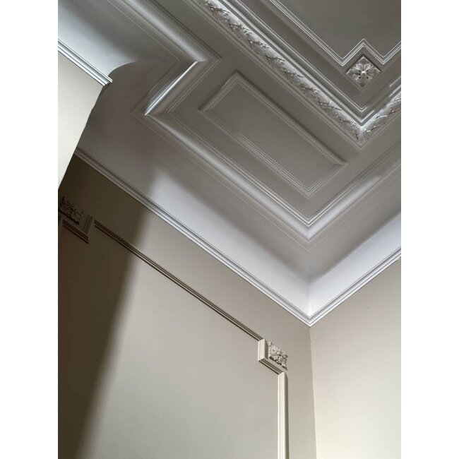 Homestar Wandleiste CW11 (38 x 18 mm), Länge 2 m