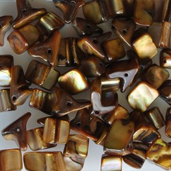 Shell Beads 5-12mm Cognac 50 pieces for