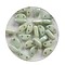 Semi-circular 2-hole bead Glass bead 8x4mm opaque light green 25 pieces