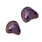 Glaskraal. 9x13mm. Fantasie. Purple Brons voor het maken van sieraden en accessoires