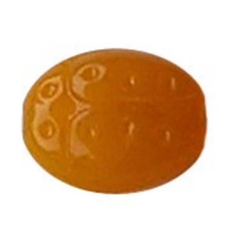 Glaskraal. 11x13mm. Lieveheersbeestje. Orange voor het maken van sieraden en accessoires