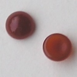 Cabochon. Brown Opal. Glas. Rond. 8mm.