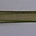 Organzalint. Olivine. 10mm. Met Satijnrand. Per meter voor