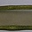 Organzalint. Olivine. 25mm. Met Satijnrand. Per meter voor