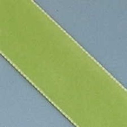 Fluweelband. 22mm. Groen. 0,50 meter voor
