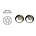 SWAROVSKI ELEMENTS Swarovski plaksteen Crystal Sage. ss20. 5mm.