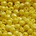 Facet Geslepen Glaskraal. Geel Opaque Luster. 3mm. Tsjechisch