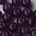 Witte jade dyed. Purple 6mm. kraal.