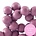 Houten kraal. 8mm. Dawn Purple Pink.