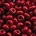 PRACHT Rocailles hoge kwaliteit Rood. Opaque. 4.5mm. 17 gram voor