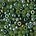 PRACHT Rocaillesmix. 2.6mm en 2x2mm. Hoge kwaliteit ca. 17 gram Greencolors voor