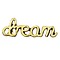 Spiritueel woord Dream 8x22mm goudkleurig