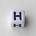 Letter Acrylkraal. Kubus. 6x6mm. Wit met zwarte letter H.