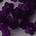 Lucite flower 13mm. Paars