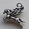 Bedel Pegasus. 17mm. Verzilverd met harde beschermlaag. (ook in grootverpakking).