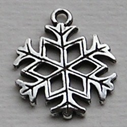 Bedel IJsster. 20mm. Oudzilverkleurig.