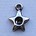 Ster. Voor SS 4mm. 10mm.