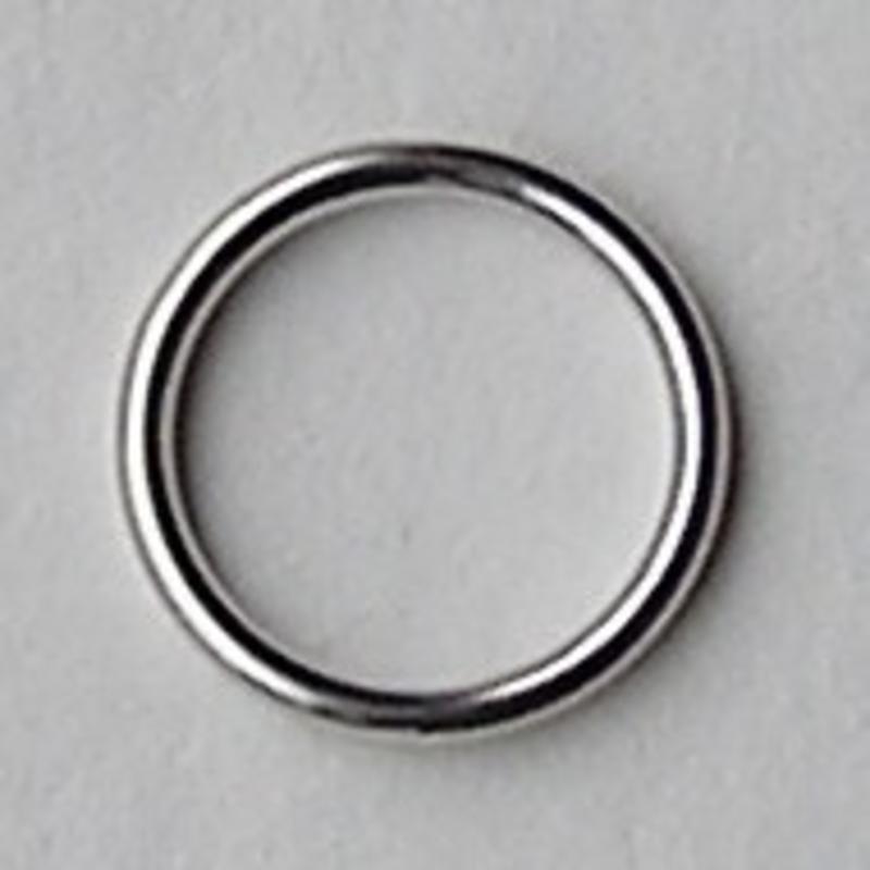 Dichte ring. Zilverkleurig. Hoogwaardige kwaliteit 15mm. Per stuk voor.