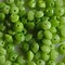 Glaskraaltje angular 5x2mm rondelle. Green. 100 pieces for.