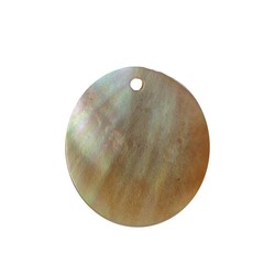 Hangertje rond gemaakt van schelp 30mm.