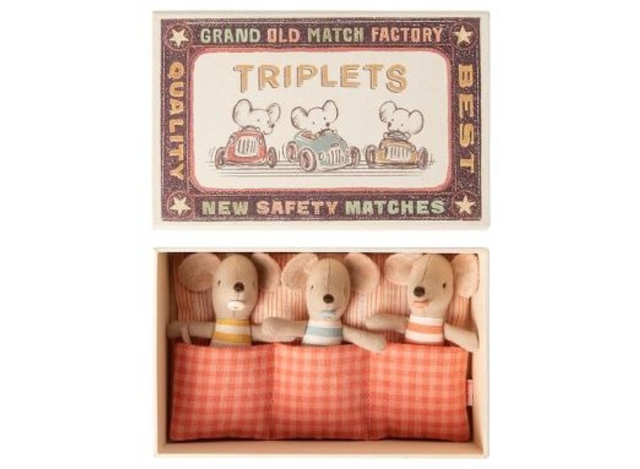 Baby mice, Triplets in matchbox