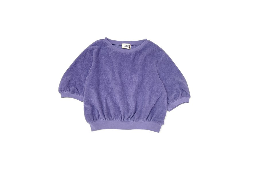short sleeved sweater violet