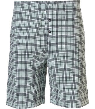 Pastunette for Men Mix & Match light green cotton shorts 'checked up'