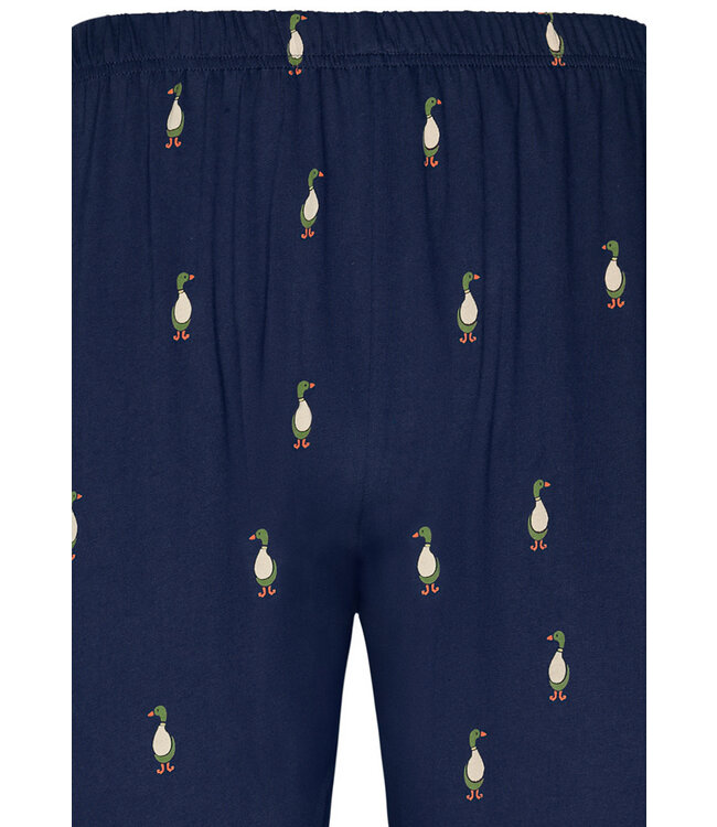 men's 100% cotton single jersey pyjama set 'little ducky'