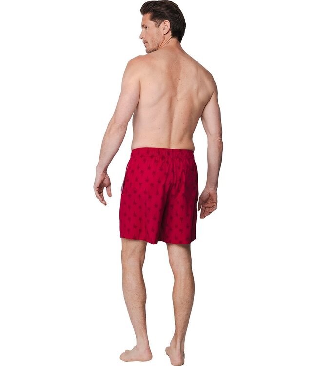 rode heren zwembroek met elastische en koord taille Palm Sunset
