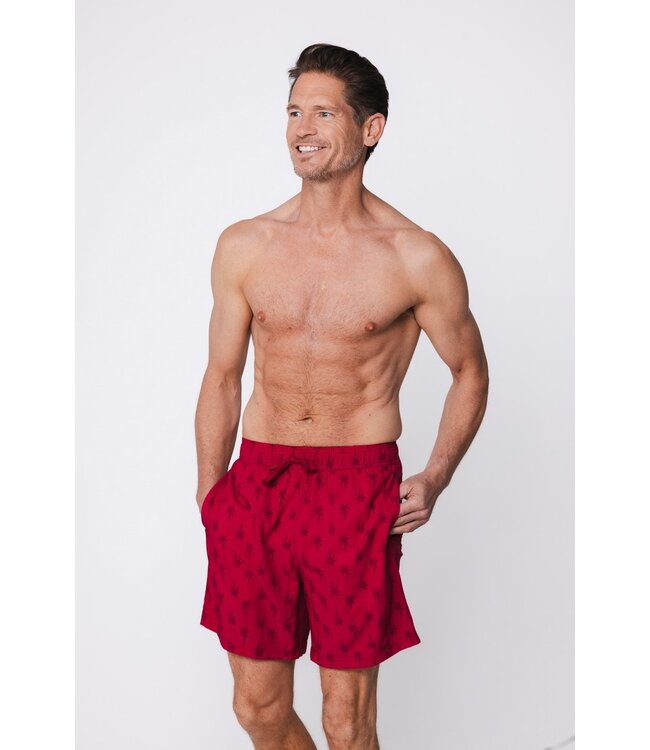 rode heren zwembroek met elastische en koord taille Palm Sunset