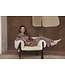 Dark red cuddle satin ladies pyjama full button Soft Animal