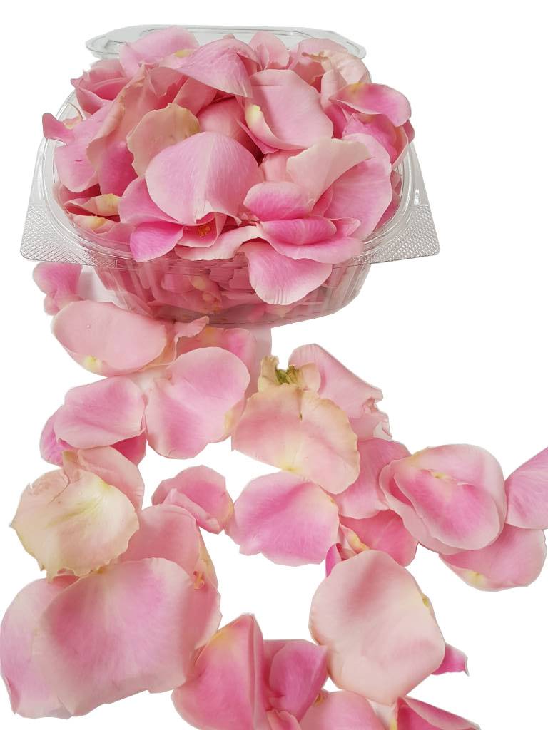 Roze rozenblaadjes - ROZEN.NL