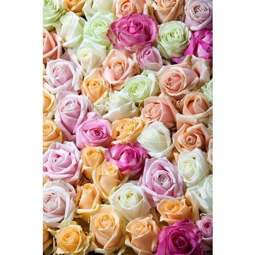 Rozen.nl Mixed rose bouquet - Mothersday Rozen.nl Mixed rose bouquet - Mothersday