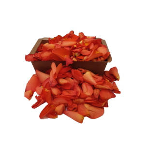 Freshly Picked Rose Petals Rozen Nl