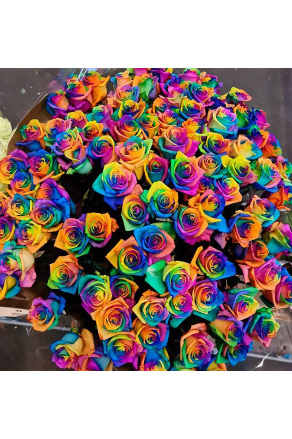 radicaal Getand Rusland Rainbow rozen bestellen doe je bij rozen.nl - ROZEN.NL