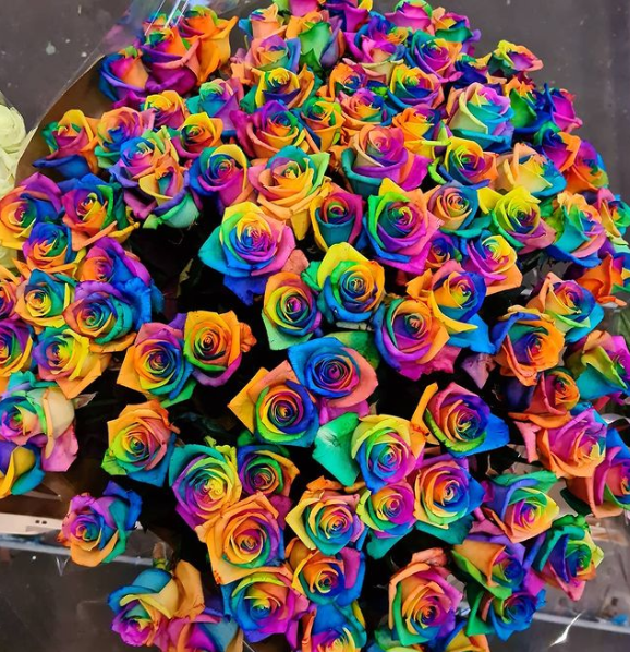 Observatie hoog Gedateerd Rainbow rosen - Rozen.nl