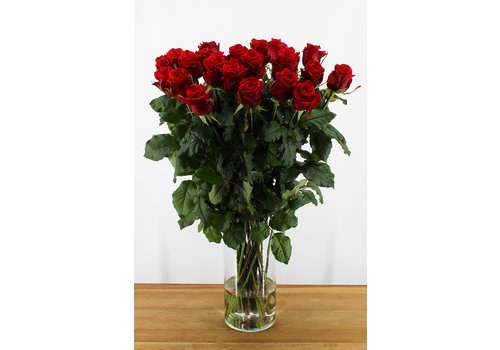 Rozen.nl Red Eagle - Red Roses - 24 pieces