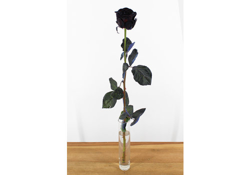 Rozen.nl Red Naomi - Black roses - 1 piece