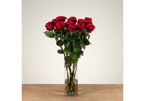 Rozen.nl Red Naomi! - Red roses - 12 pieces REGULAR