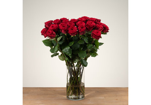 Rozen.nl Red Naomi! - Red roses - 24 pieces REGULAR