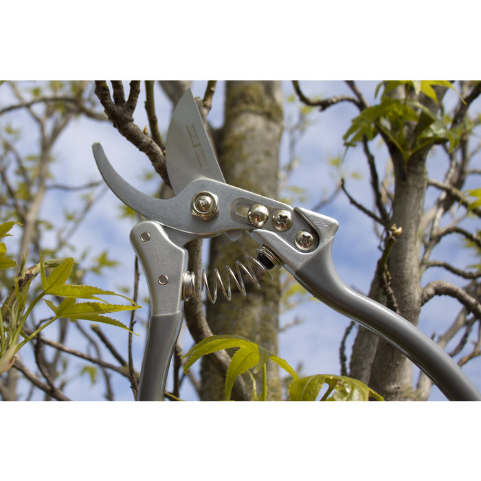 Talen Tools Snoeischaar | Voorbijsnijdend | High quality gesmeed