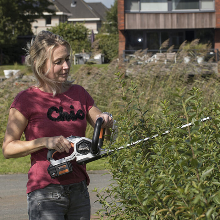 Batavia Taille-haie sur batterie / 18 Volt | Hors batterie et chargeur