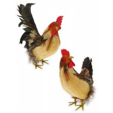 Fest- & Karneval-Zubehör: Dekoratiever Hahn und Huhn (Groß)