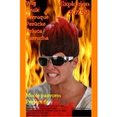 Karneval- & Fest Zubehör: Perücke "Explosion"